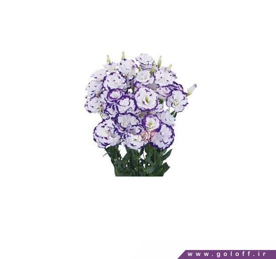 تزیین دسته گل - دسته گل لیسیانتوس ولکان پرپل - Lisianthus | گل آف